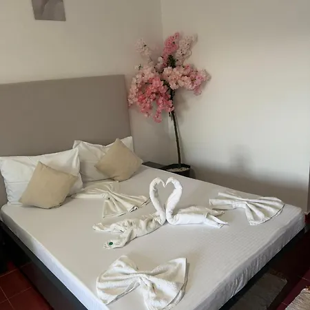 Angely Summer Guest house Eforie Nord